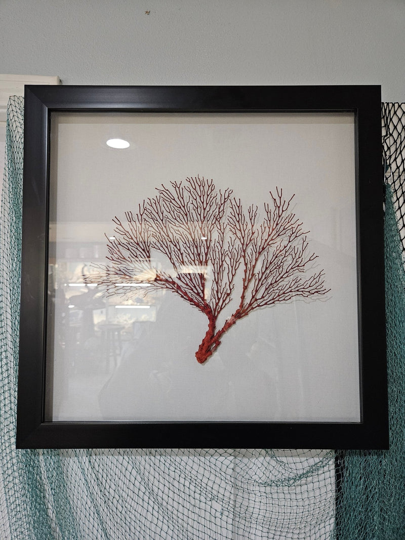 Pink Sea Fan Shadow Box - 20"x20" Coastal Wall Art - Accent DecorLoving Coastal Living