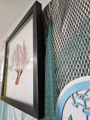 Pink Sea Fan Shadow Box - 20