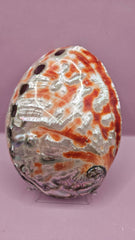 Polished Red Abalone Shell - 6