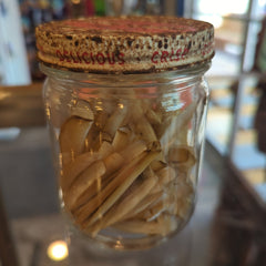 Razor Clams - Loving Coastal Living