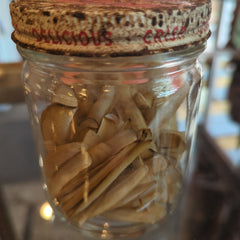 Razor Clams - Loving Coastal Living