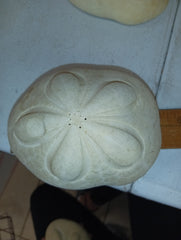 Grade B XL Sea Biscuits 5