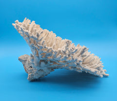 Vintage table coral specimen for coastal home decor - natural marine piece