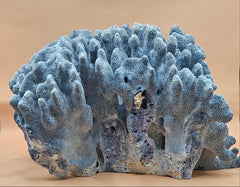 Vintage Blue Ridge Coral Heliopora coerulea Specimen – Deep Blue Textured Display Coral