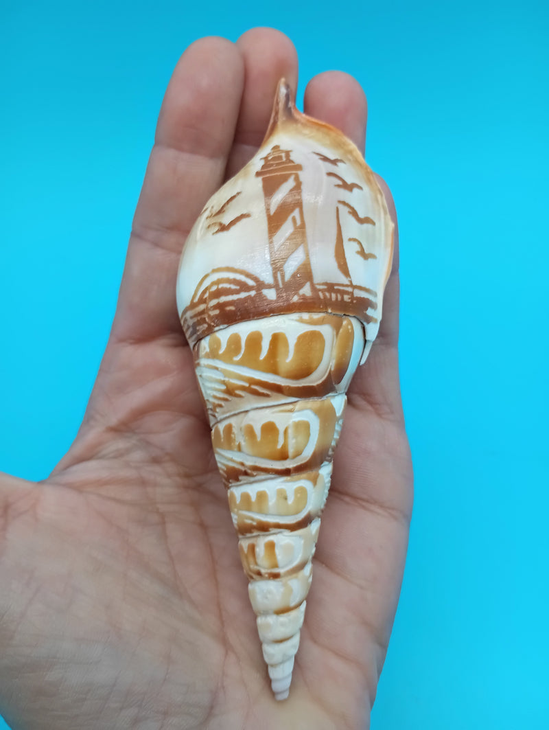 4.8" carved Tibia shell with lighthouse scene and seabirds