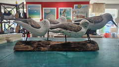 Hand-carved wooden sculpture of four coastal shorebirds on a rustic bark-style base