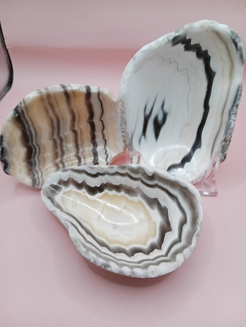 Polished natural onyx shell bowls with layered cream, gray, and brown tones