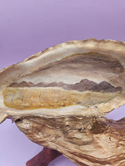 Hand-painted oyster shell resting on a wooden stand, coastal-inspired art.