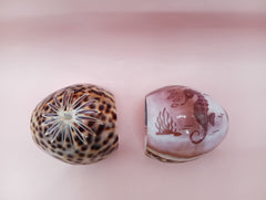 Vintage Cowrie Shell Napkin Holders – Floral & Seahorse Etched Designs Coastal Dining Set