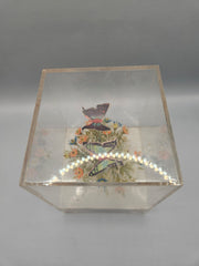 Vintage Acrylic Music Box With Butterflies