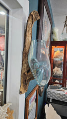 Wall-hanging teak wood and molten glass terrarium. Handcrafted design with molten glass fused to a natural teak wood base, creating a unique and rustic aesthetic. Perfect for displaying plants, flowers, or decorative items