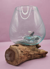 Teak root driftwood and molten glass terrarium – single globe. Handcrafted with molten glass carefully shaped over natural teak root driftwood, creating a one-of-a-kind organic design. Perfect for housing plants, succulents, or decorative displays. Ideal for home or office decor.