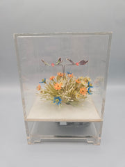 Vintage Acrylic Music Box With Butterflies