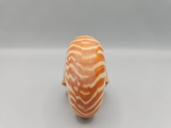 Chambered Tiger Nautilus shell, 2.8 inches wide, with brown stripes and spiral design, perfect for marine décor or collections.