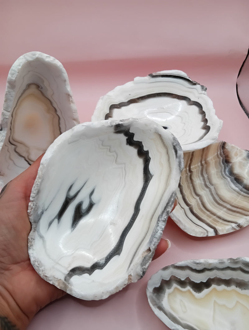 Polished natural onyx shell bowls with layered cream, gray, and brown tones