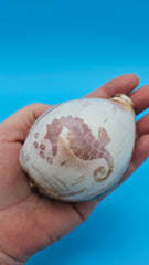Trio of carved cowrie shells with dolphin, seahorse, and shrimp designs on glossy purple-toned surfaces, displayed on clear stands