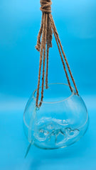 Hanging Glass Molten Terrarium with Rope