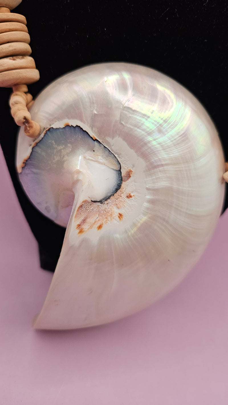 Vintage nautilus shell necklace with a natural shell pendant and beige beads