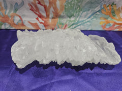 Fishtail Angelwing Selenite