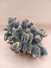 Vintage Blue Ridge Coral with blue-grey texture – 4.8 inch coastal display decor piece