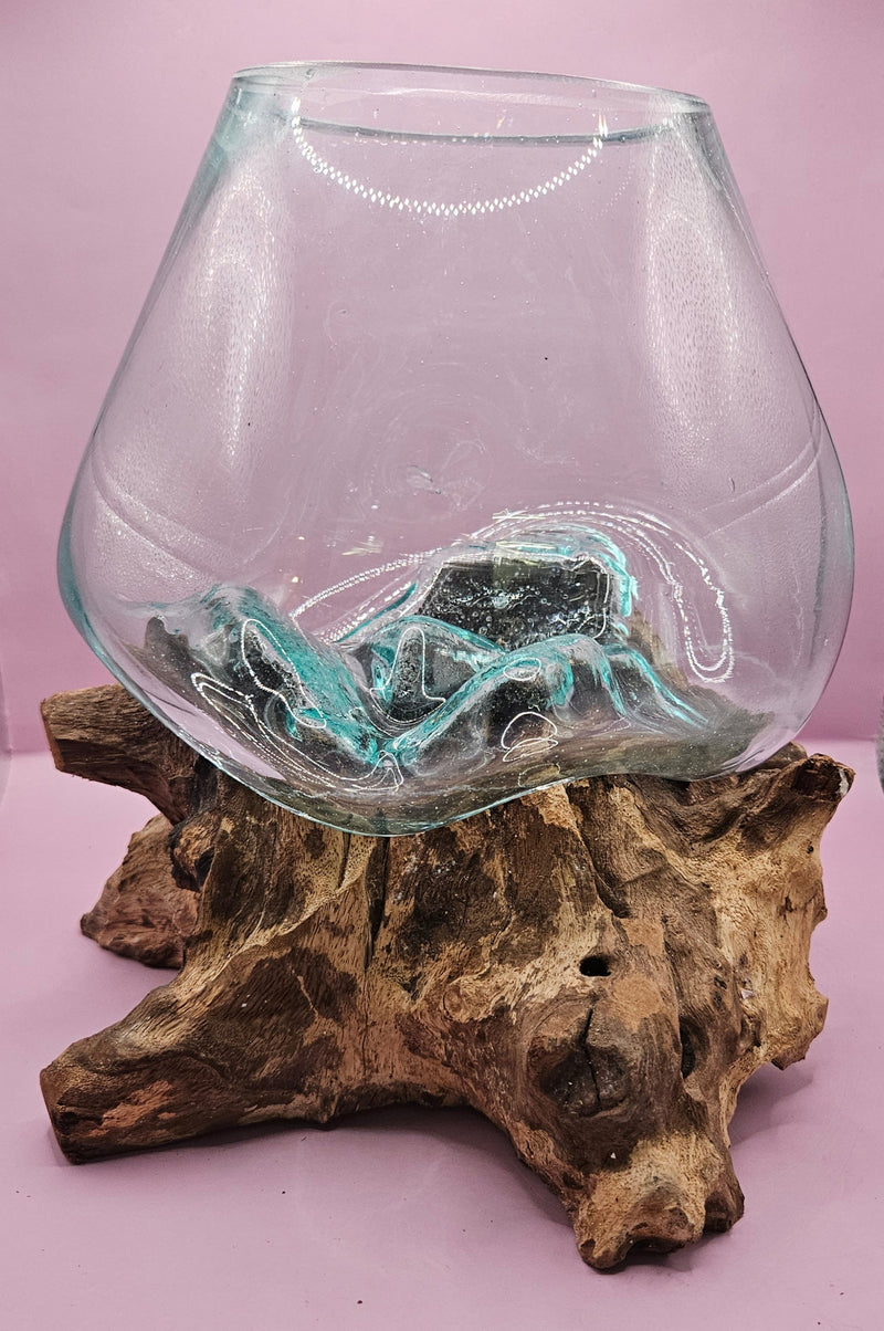 Teak root driftwood and molten glass terrarium – single globe. Handcrafted with molten glass carefully shaped over natural teak root driftwood, creating a one-of-a-kind organic design. Perfect for housing plants, succulents, or decorative displays. Ideal for home or office decor.