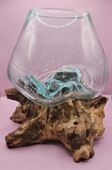 Teak root driftwood and molten glass terrarium – single globe. Handcrafted with molten glass carefully shaped over natural teak root driftwood, creating a one-of-a-kind organic design. Perfect for housing plants, succulents, or decorative displays. Ideal for home or office decor.