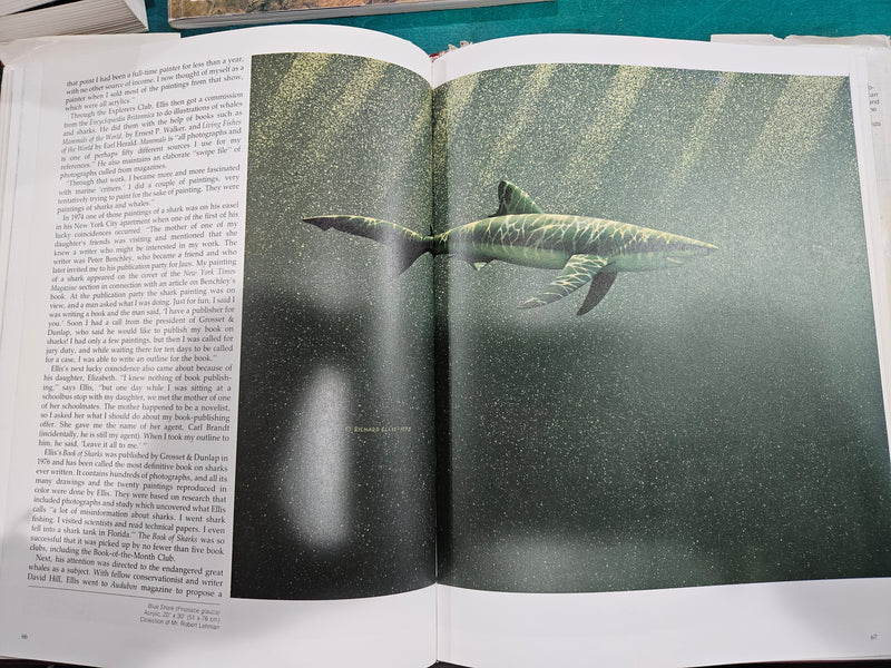 Interior pages of Wildlife Artists at Work, showing techniques and artwork by various wildlife artists.