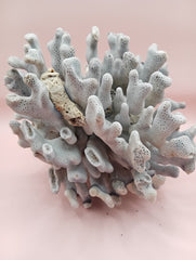 Vintage Blue Ridge Coral with blue-grey texture – 6.7 inch coastal display decor piece