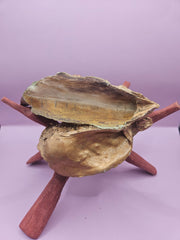 Hand-painted oyster shell resting on a wooden stand, coastal-inspired art.