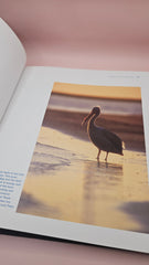 vintage hardcover book The Book of Texas Bays by Jim Blackburn, dark blue with gold text, published by Texas A&M University Press.