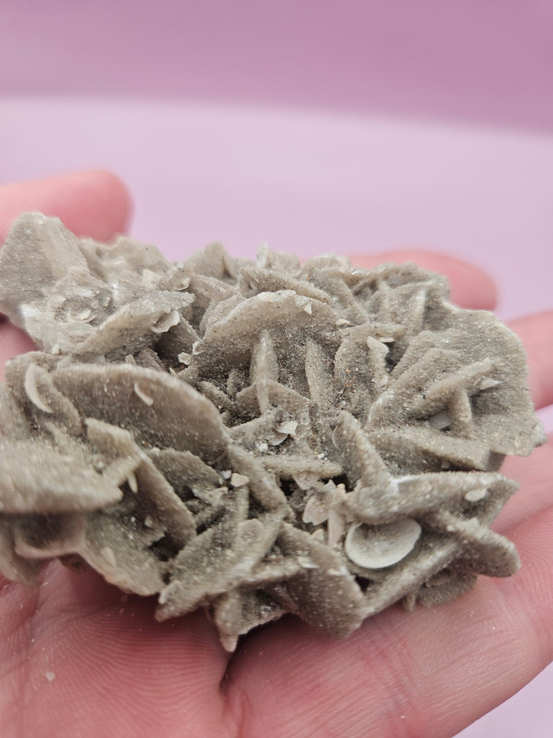 Natural texture and intricate details of a Desert Rose crystal specimen.