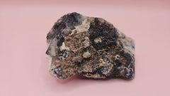 Close-up photo of dendritic opal rough specimen showing black fern-like mineral inclusions in milky-white and gray matrix, 304 grams.