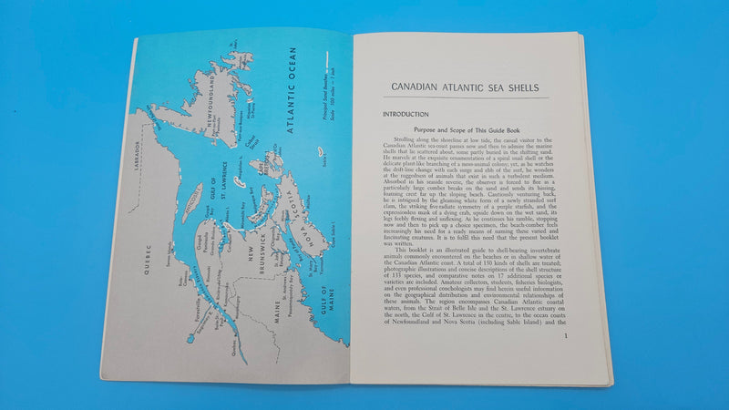 Canadian Atlantic Sea Shells softcover book by E.L. Bousfield, 1960 National Museum of Canada marine shell identification guide.