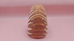 3.5-inch natural nautilus shell with smooth spiral pattern and creamy pearlescent finish.