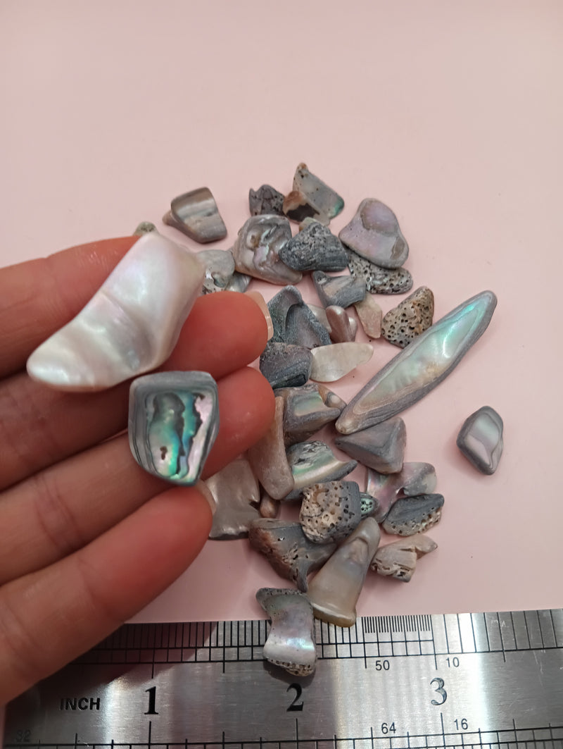 Hand holding polished tumbled abalone shell pieces in assorted shapes and colors