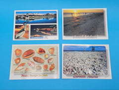 Set of 8 Vintage Florida Postcards – Sanibel Island, Naples, Shells & Coastal Scenes