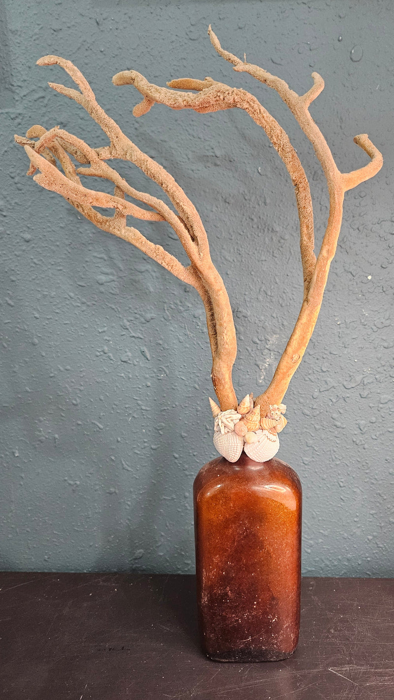 Vintage W.H.R. amber bottle topped with branch coral and a ring of seashells