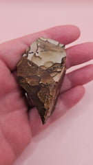 Rough Deschutes Jasper specimen with scenic brown and gold banding, 38g collector’s stone from Oregon shown in hand.