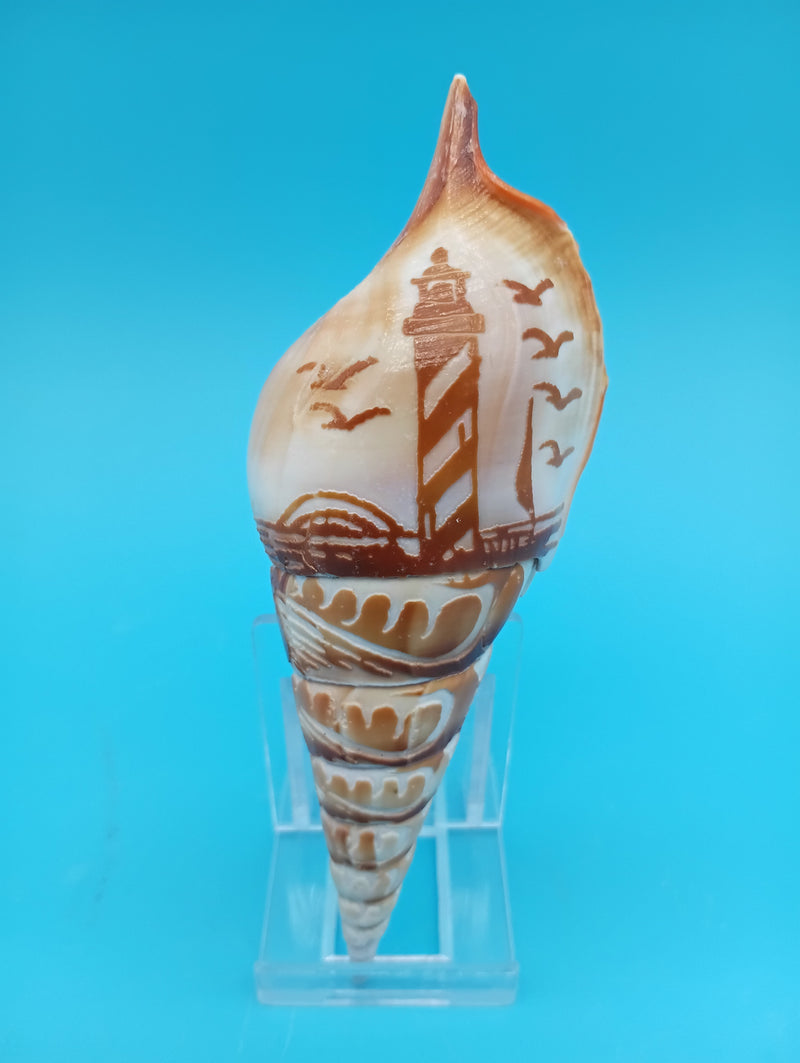 4.8" carved Tibia shell with lighthouse scene and seabirds