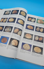 First edition Compendium of Seashells hardcover book by R. Tucker Abbott & S. Peter Dance, 1982 edition with full-color marine shell photography.
