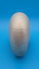 Polished Pearl Nautilus Shell Display – 6.5