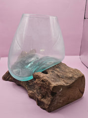 Teak root driftwood and molten glass terrarium – single globe. Handcrafted with molten glass carefully shaped over natural teak root driftwood, creating a one-of-a-kind organic design. Perfect for housing plants, succulents, or decorative displays. Ideal for home or office decor.