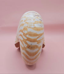 6-inch natural nautilus shell with smooth spiral pattern and creamy pearlescent finish.