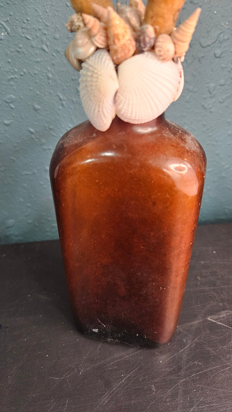 Vintage W.H.R. amber bottle topped with branch coral and a ring of seashells