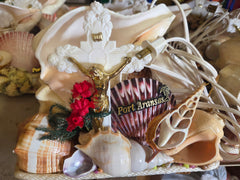 Chank & Mixed Seashells Novelty Light (Seahorse,  Palm Tree, Flamingo or Crucifix Accent)