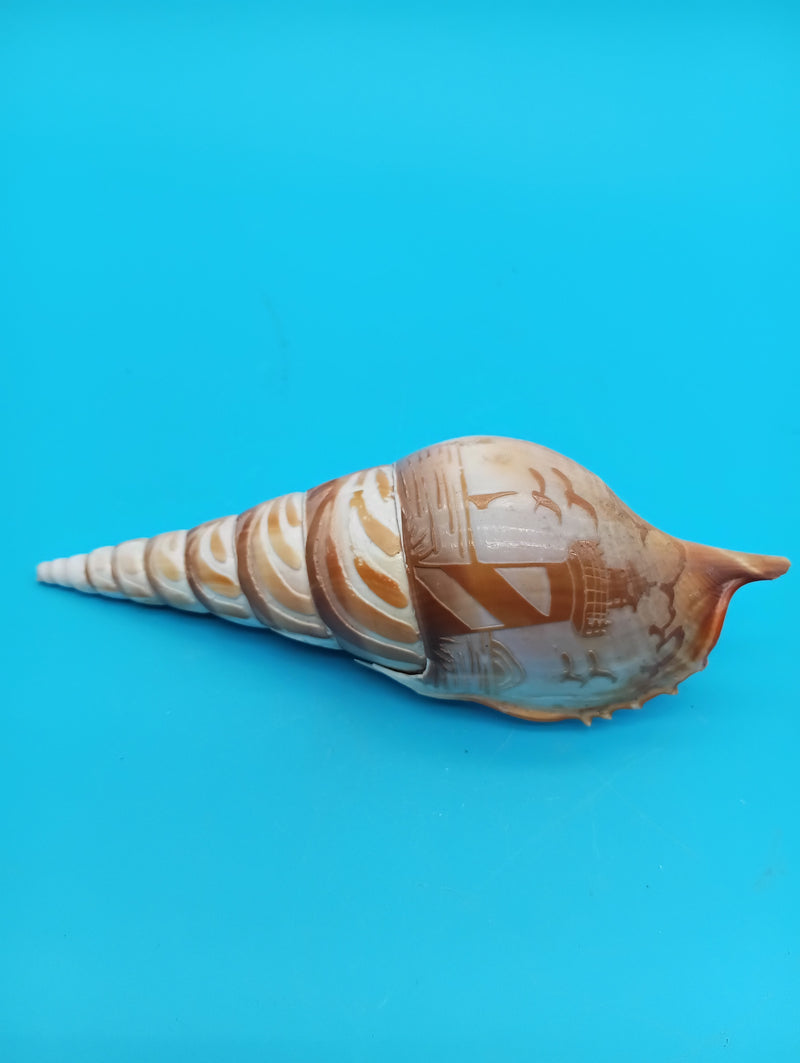 5" carved Tibia shell with lighthouse scene and seabirds