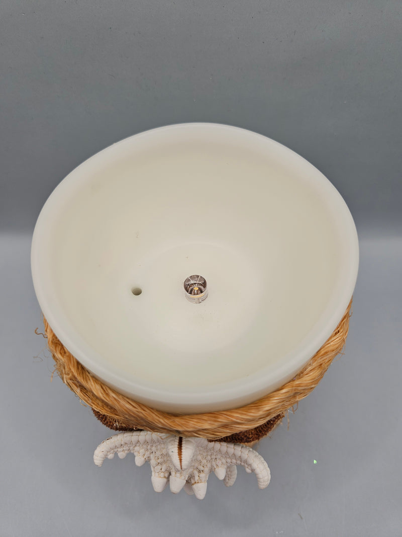 Ivory indoor/outdoor LED candle with real starfish and sand dollar accents, 3.5 inches by 5 inches, IPX4 certified, with drain hole and 5-hour timer.