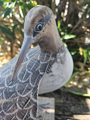 Hand-carved wooden sandpiper preening decor, 10 inches by 7.5 inches, ideal for coastal and nature-themed decor