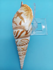 4.7