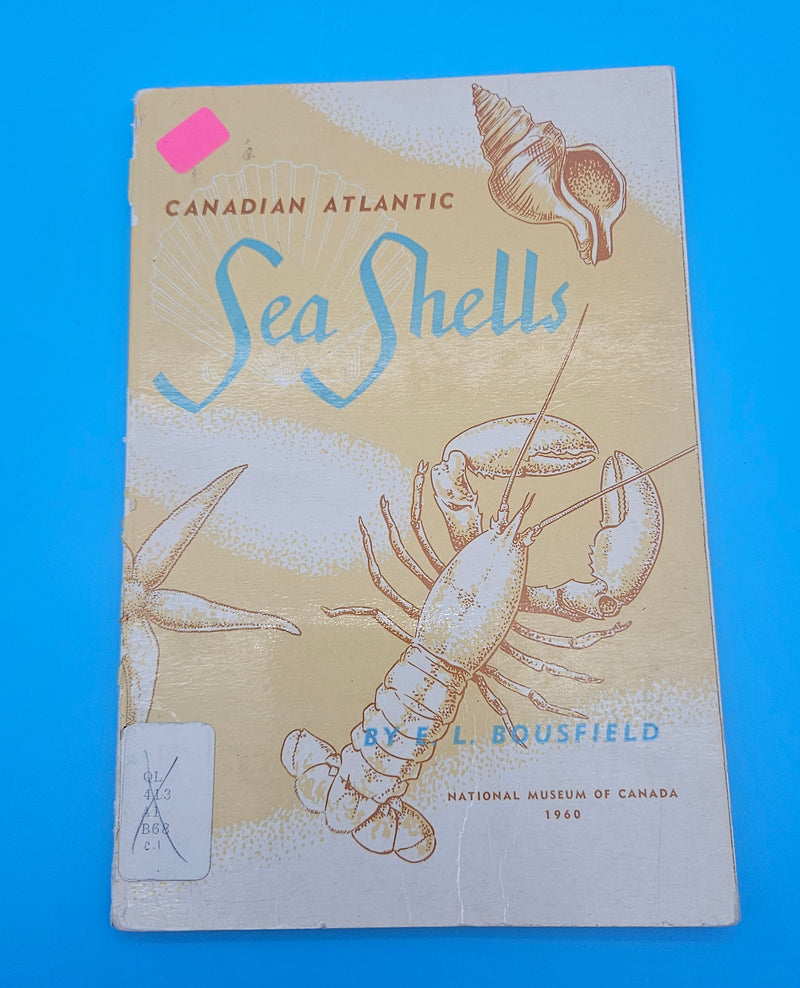Canadian Atlantic Sea Shells softcover book by E.L. Bousfield, 1960 National Museum of Canada marine shell identification guide.